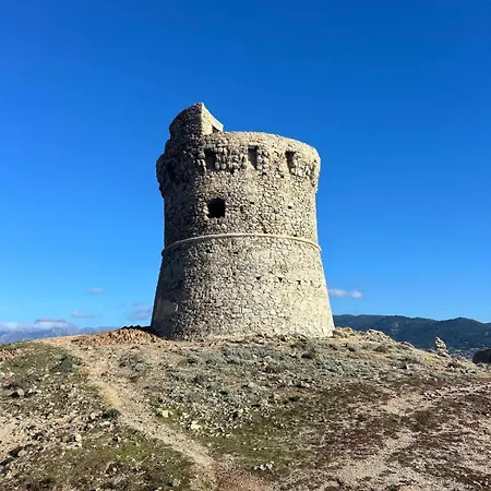 Appartamento T2 Neuf Situation Topissime Village De Vue Toutes Commodités Cargèse