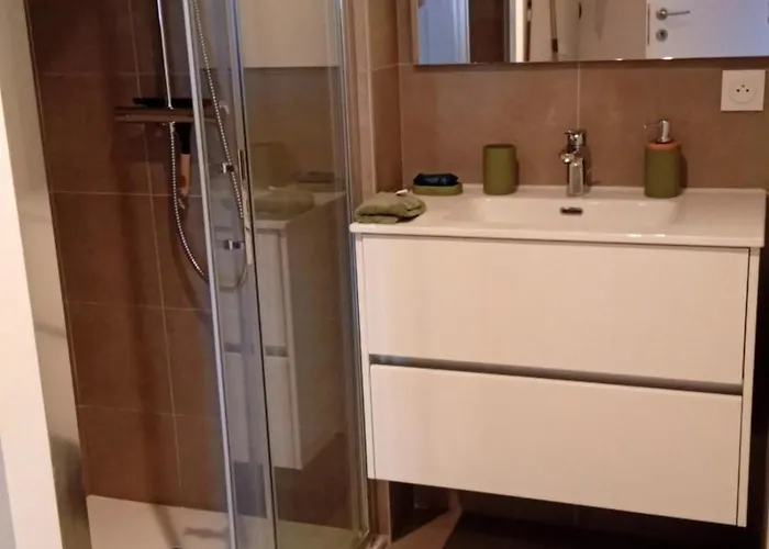 Apartment T2 Neuf Situation Topissime Village De Vue Toutes Commodites Cargese