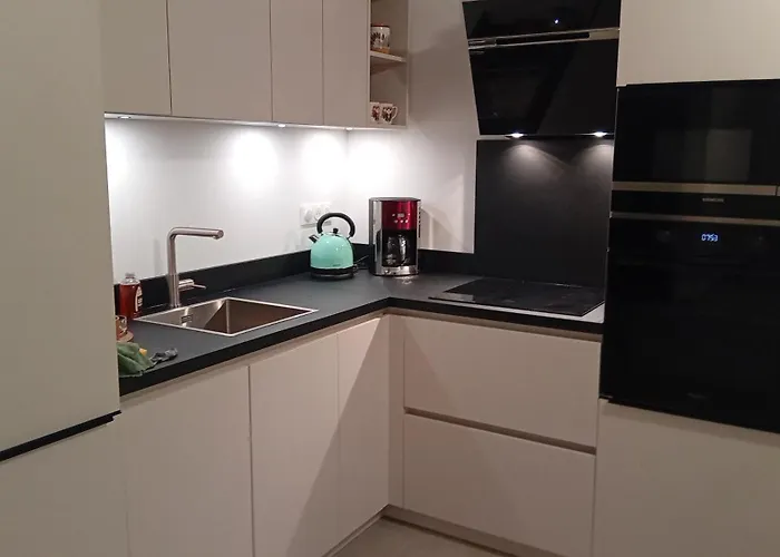 Apartment T2 Neuf Situation Topissime Village De Vue Toutes Commodites Cargese